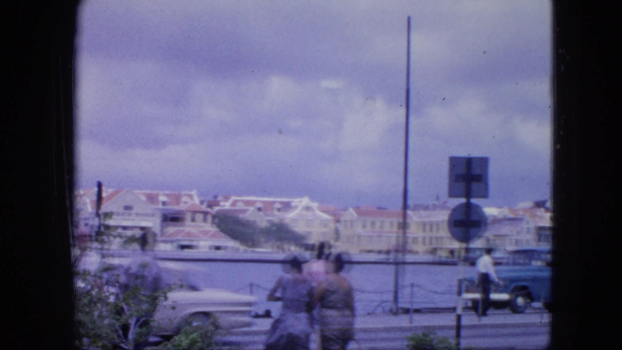 Cars and pedestrians on a waterfront street with harbor buildings beyond the water.
