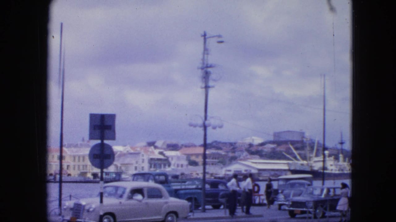Cars and pedestrians pass beside the harbor with ships, signs, and low buildings in view.