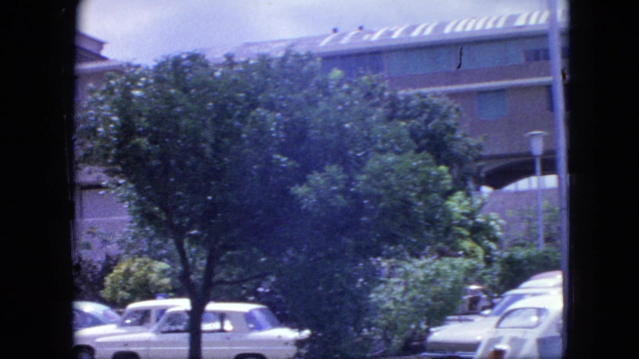 1964 Nassau street view with mid-century cars, leafy trees, and a curved-front building seen through dark 8mm film borders.