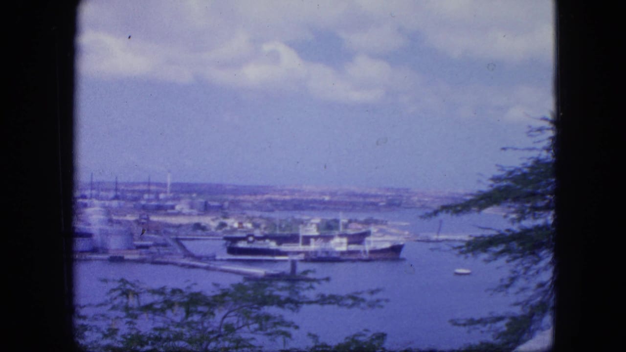 1964 Nassau harbor view from above, showing a large ship, small boats, blue water, distant shoreline, and foreground trees.