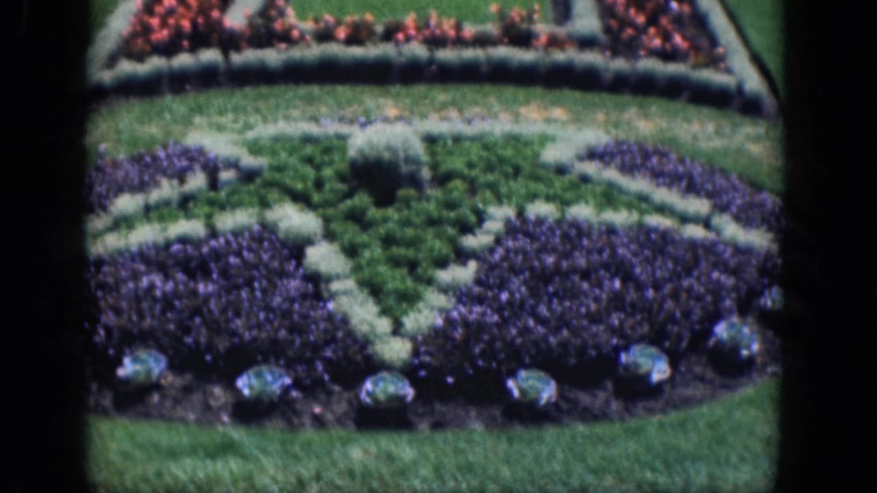Formal flower beds with purple plantings, pale edging, green lawn, and red flowers near the top of the frame.