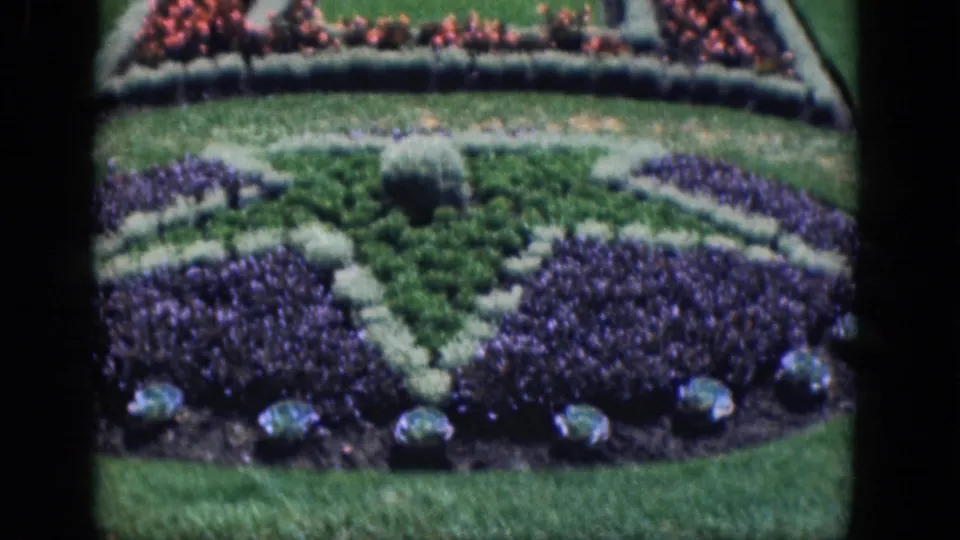 1964 Niagara Falls garden view showing geometric purple flower beds, trimmed pale borders, green lawn, and red planting areas.