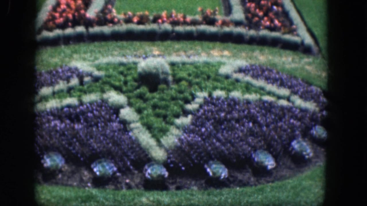 Formal garden beds with purple flowers, green center planting, pale borders, and red flowers beyond.