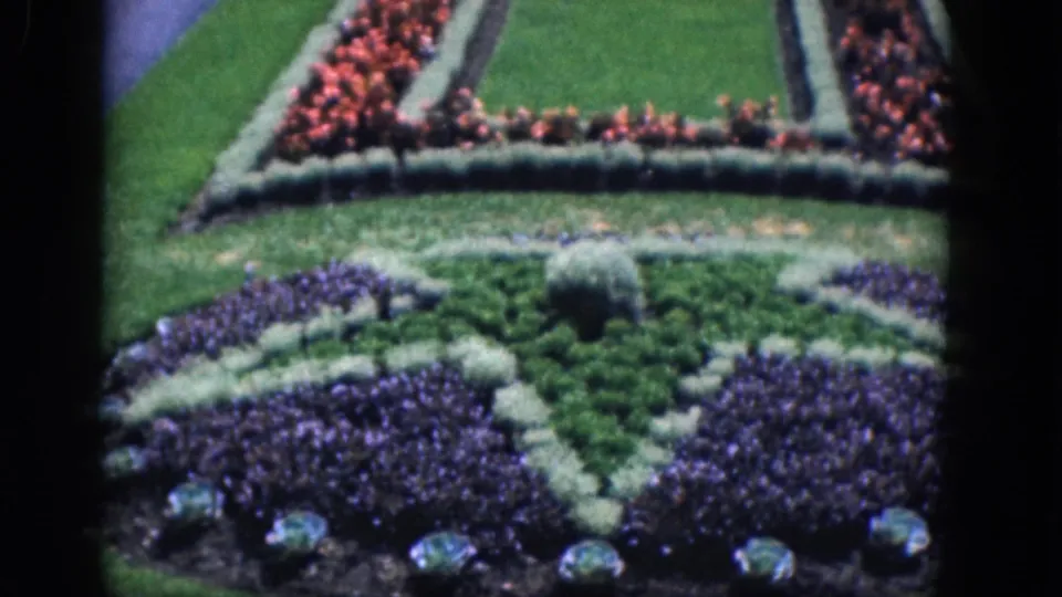 1964 Niagara Falls garden frame showing a central topiary-like plant surrounded by patterned purple beds and trimmed borders.