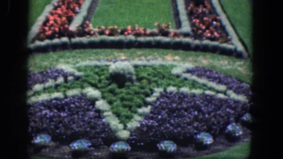 1964 Niagara Falls floral clock garden view with geometric purple beds, green lawn sections, pale edging, and red flowers.