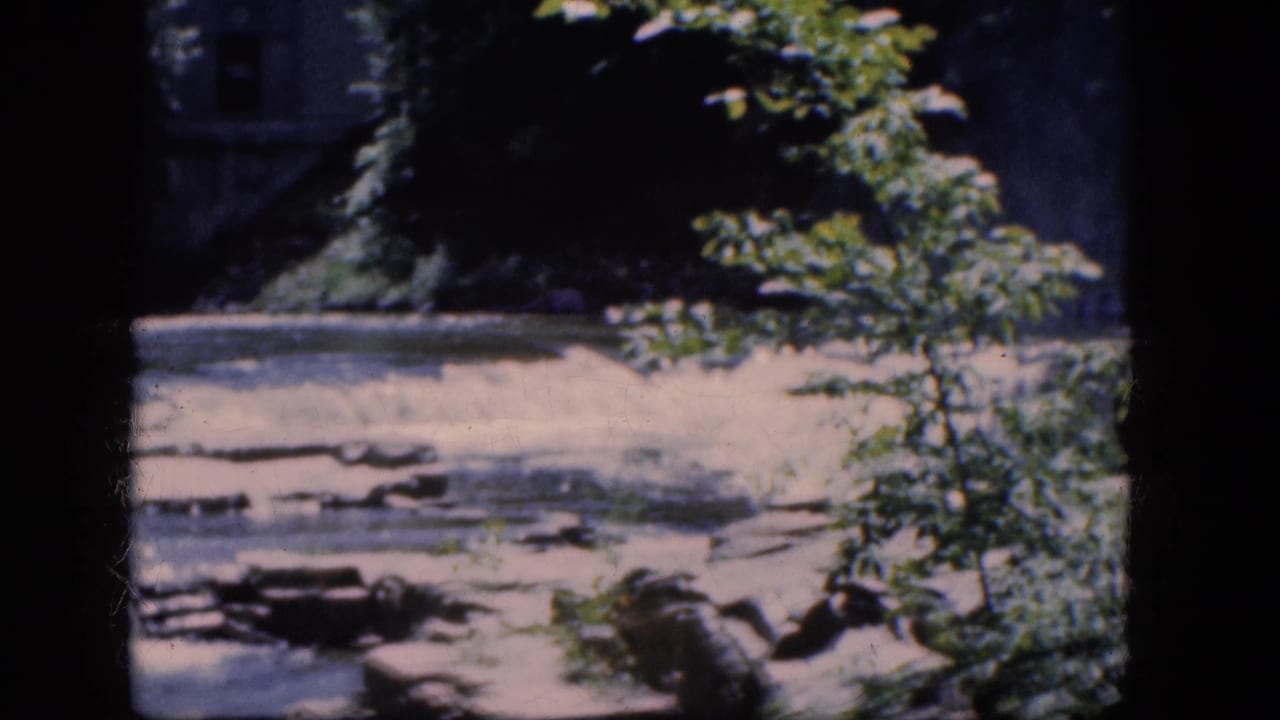 Shallow creek water moving over rocks with leafy plants in front and a dark wooded background.