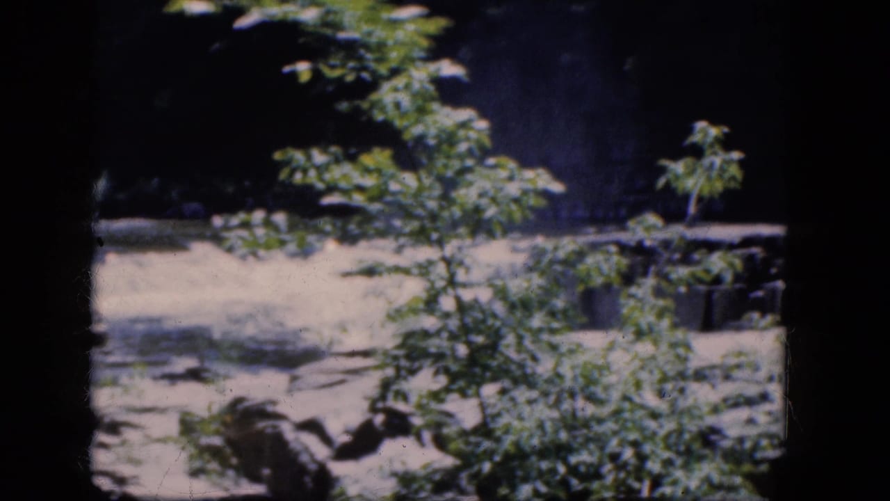 Visitor-shot 1964 8mm frame at Niagara Falls, Canada showing creek rocks, foliage, and a shaded wooded backdrop.