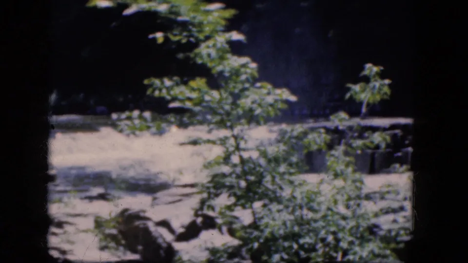 Visitor-shot 1964 8mm frame at Niagara Falls, Canada showing creek rocks, foliage, and a shaded wooded backdrop.