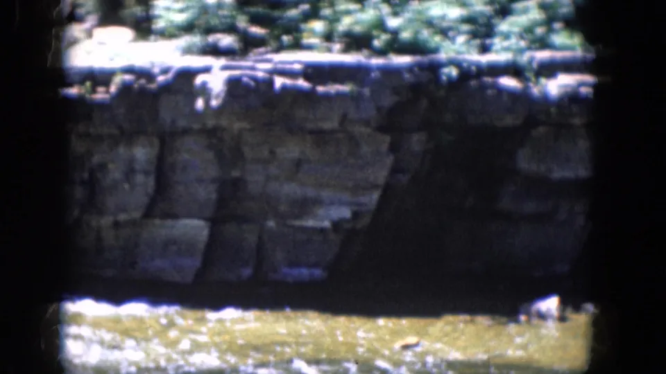 A stone bridge or wall, trees, and rushing water appear from a shaded vantage in 1964 Niagara Falls-area home-movie footage.