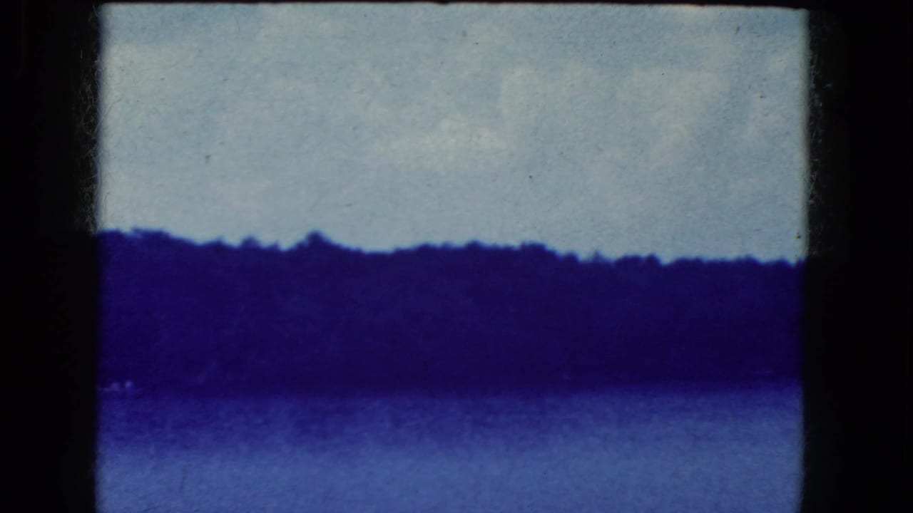 Blue-tinted water view with a distant dark tree line beneath a pale sky.