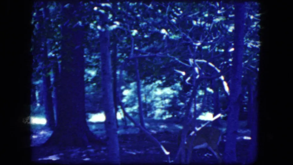 Blue-tinted 1964 home-movie frame of a deer near trees, with bright daylight filtering through the wooded background.