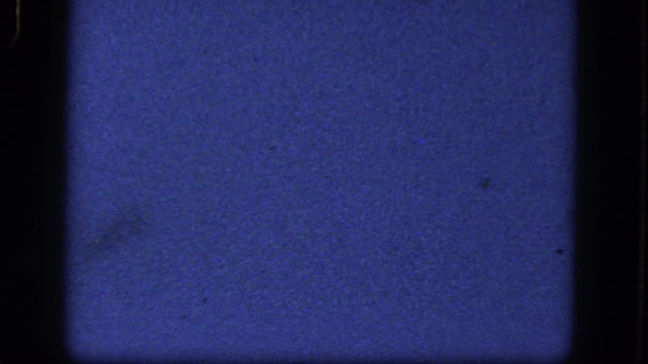 Underexposed 1964 8mm frame with blue-purple color cast, visible grain, and dark film borders before the wooded scene appears.