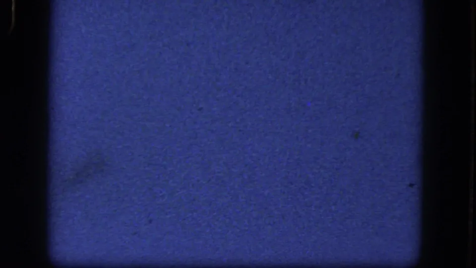 Underexposed 1964 8mm frame with blue-purple color cast, visible grain, and dark film borders before the wooded scene appears.