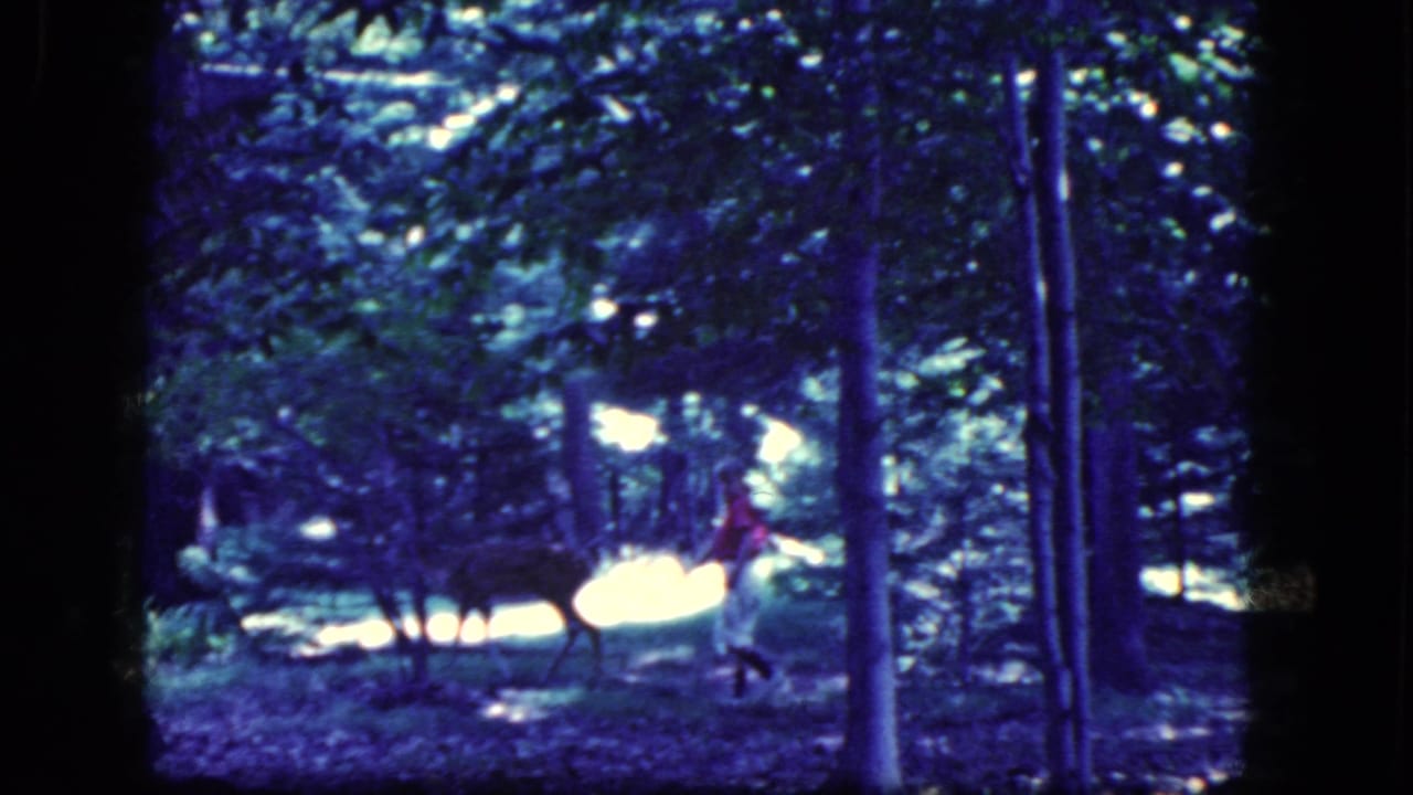 1964 8mm home-movie frame from Niagara Falls, New York, showing a child in red near a deer under dense trees.