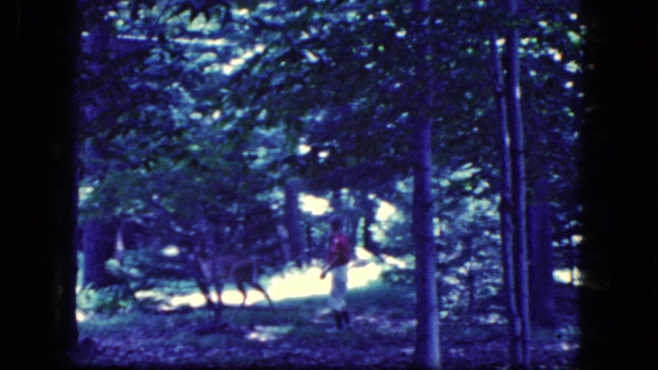Deer and child remain partly separated by trees in a dim wooded scene.