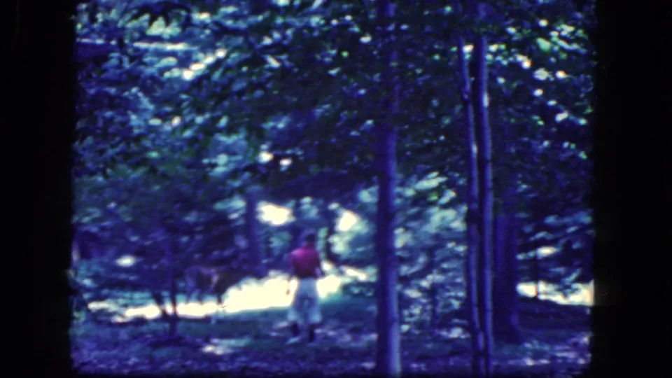 A blue-tinted 8mm frame shows the child leaning toward the deer in the wooded Niagara Falls scene.