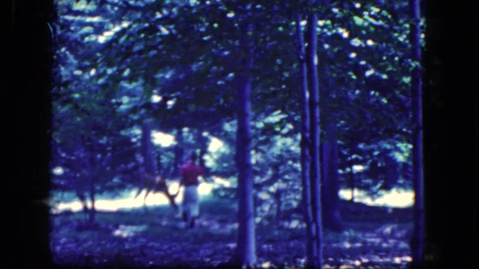 The final 1964 8mm frame shows the child and deer separated by trees, with strong sunlit patches behind them.