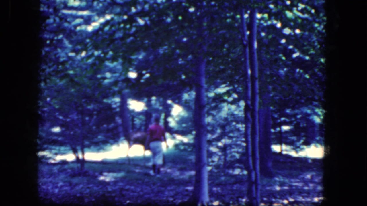 In 1964 8mm footage from the Niagara Falls, New York area, a person in red and light pants walks through a blue-toned forest.