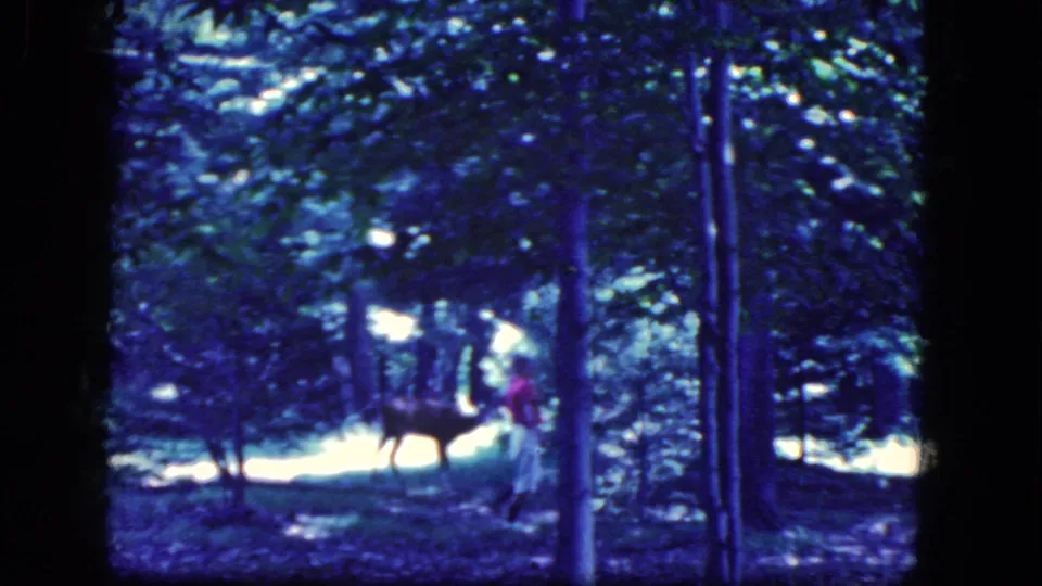A deer is visible among forest trunks as a red-shirted person moves in the background of the 1964 home-movie scene.