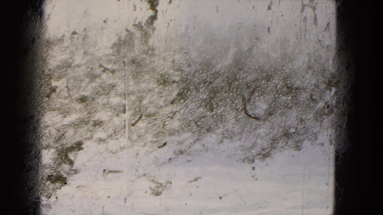 A heavily marked 8mm frame from the travel clip, with faint water and haze visible below surface wear and dark window framing.