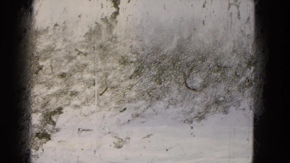 A heavily marked 8mm frame from the travel clip, with faint water and haze visible below surface wear and dark window framing.