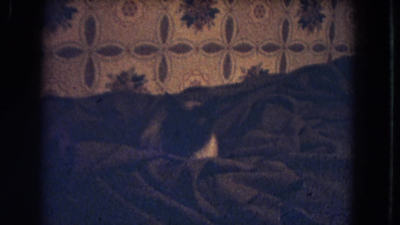 Siamese cat resting on rumpled bed covers against patterned wallpaper in dim light.