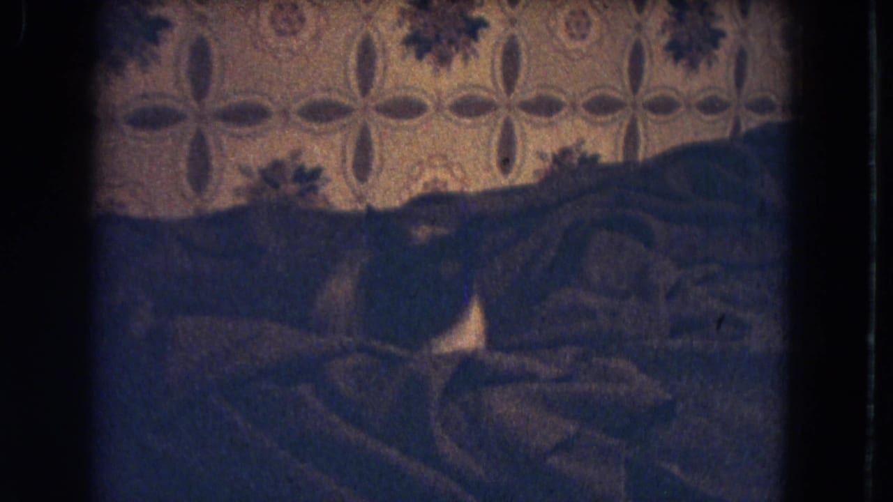 1964 8mm home-movie frame from Niagara Falls metadata showing the resting Siamese cat more centered on rumpled bedding.