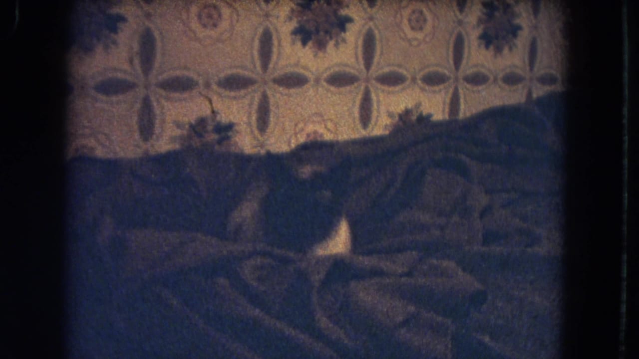 1964 8mm home-movie frame from Niagara Falls metadata showing the Siamese cat resting on bedding in a dim private room.
