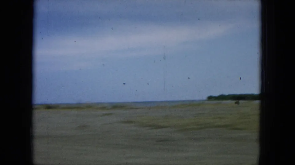 A brief coastal view shows open sky, a distant ocean horizon, and blurred roadside ground from the moving vehicle.
