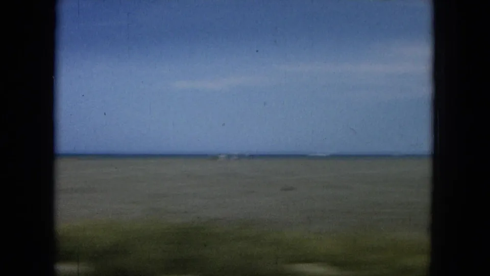 The final frame holds on a soft coastal horizon with blue sky and ocean, seen from a moving roadside viewpoint in Hawaii.