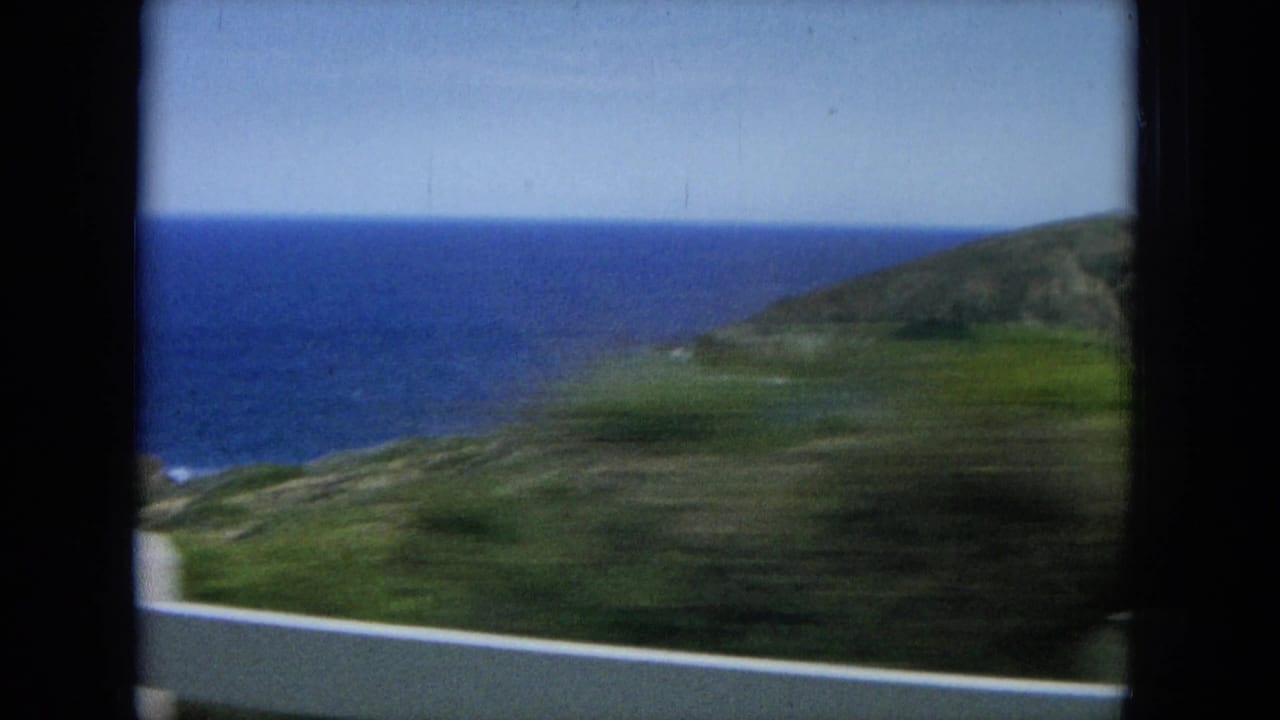 Ocean horizon and green coastal slope seen from a moving vehicle.