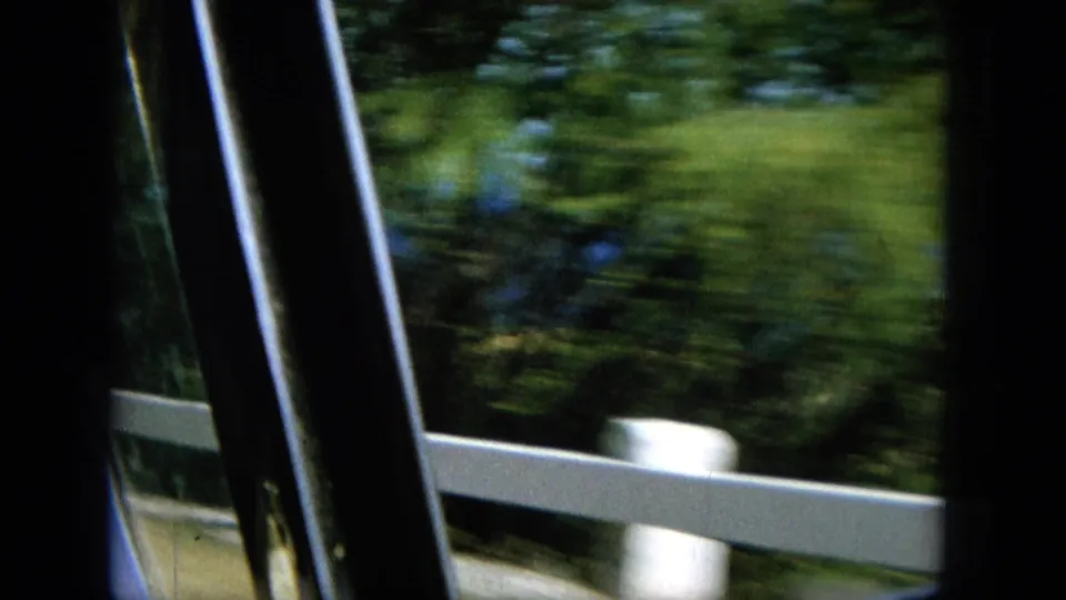 Roadside greenery, a white rail, and the dark edge of the car window blur past during the 1964 Oahu drive.