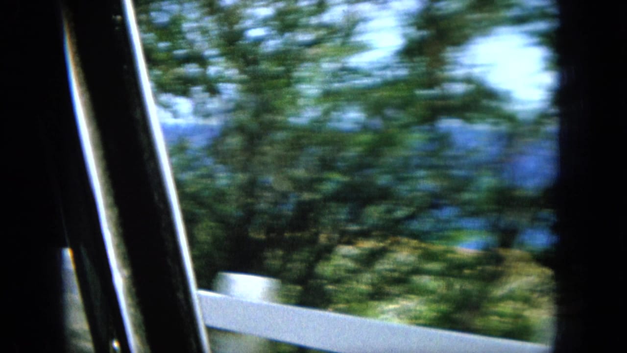 View past a vehicle window with blurred green trees and a white roadside railing.