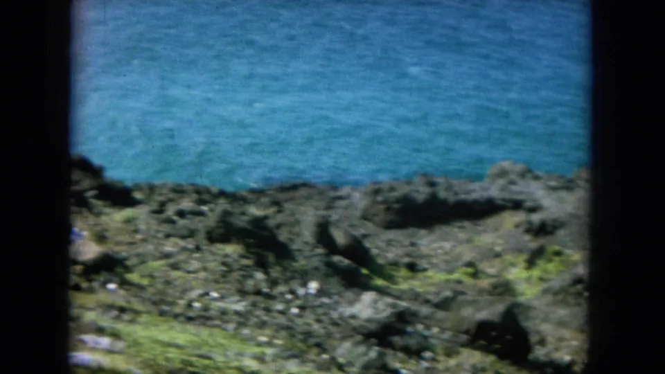8mm Hawaii travel frame showing turquoise water beyond a rugged rocky shore with low green vegetation.