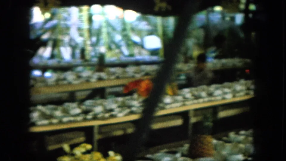 1964 Hawaii home-movie frame of a long buffet table arranged with white dishes and tropical flowers in dappled shade.
