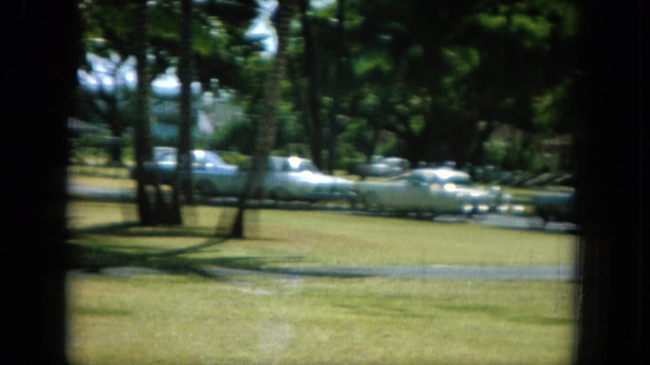 Palm-lined street with parked cars seen through a dark window-like frame.