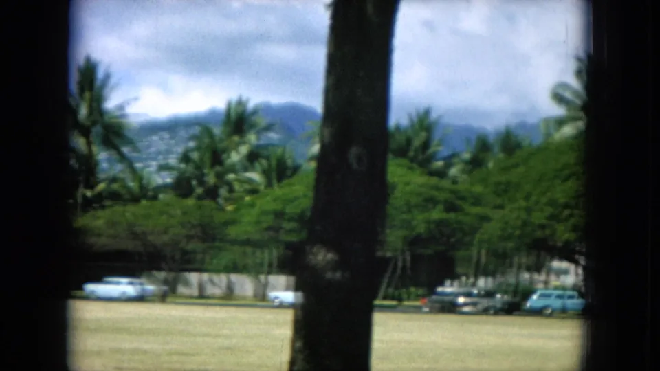 1964 Oahi, Hawaii frame with a palm trunk in front of a field, parked cars, trees, and distant mountains.