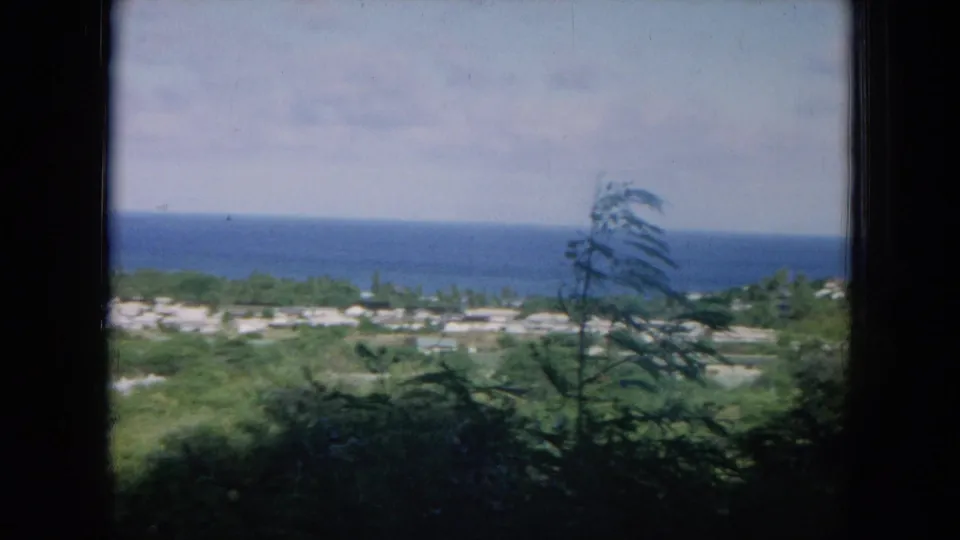 1964 Oahu 8mm frame with a windswept tree in front of coastal buildings and open blue water beyond.