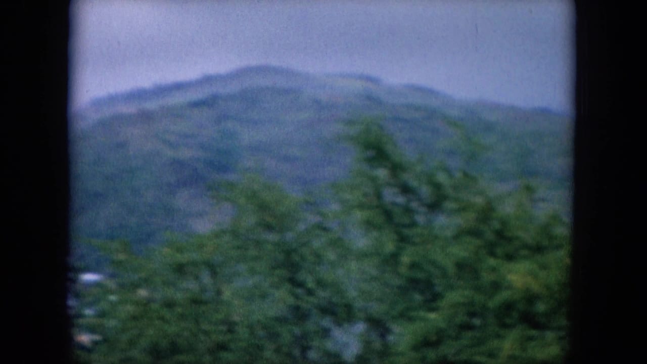 1964 Oahu frame with a hazy green mountain ridge, foreground trees, and dark window framing from the home-movie viewpoint.