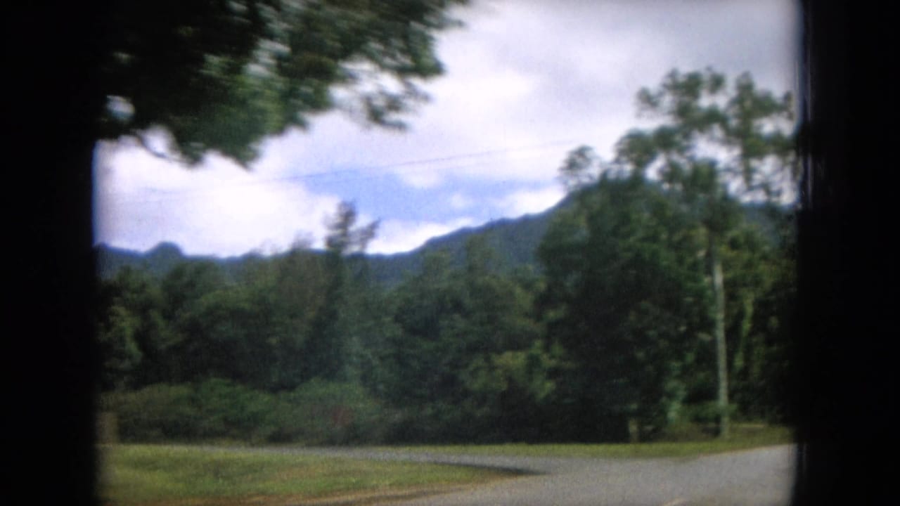 Paved road curving through trees with green mountains in the distance.