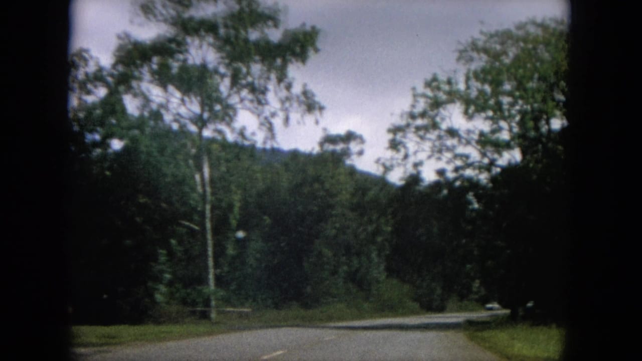 Tree-lined road with mountain slope and cloudy sky beyond the curve.