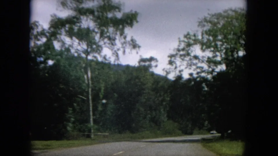 Moving-car view in Hawaii showing a two-lane road curving past dense trees toward a green mountain slope.