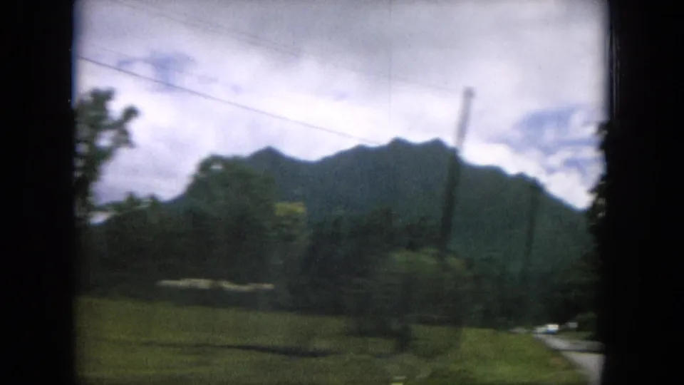 Soft 8mm frame of Hawaiian roadside vegetation, utility lines, and a dark green mountain ridge during a moving drive.
