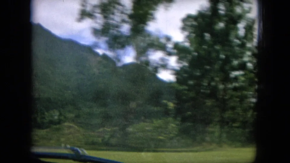 1964 Hawaii 8mm view of a mountain slope and grassy roadside, with a blurred tree and vehicle edge in frame.