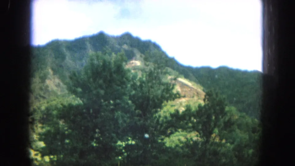 Bright, soft 8mm view of Oahu hillside trees and a rugged green mountain ridge under a pale sky.