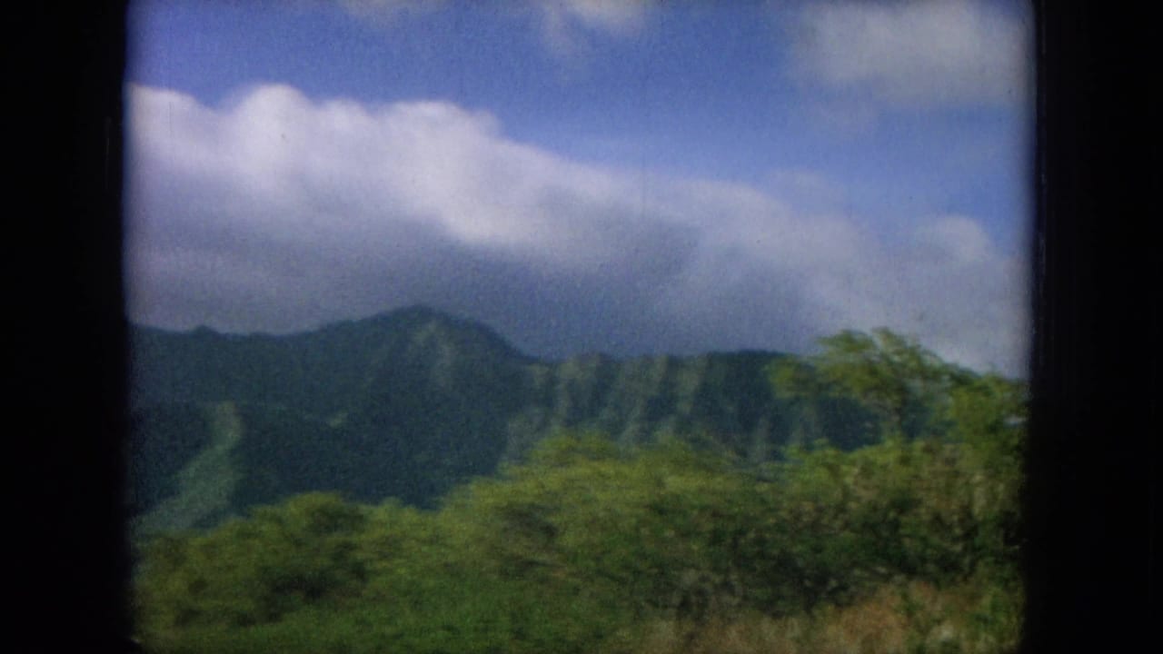 Green ridgeline and foreground shrubs below broad white clouds.