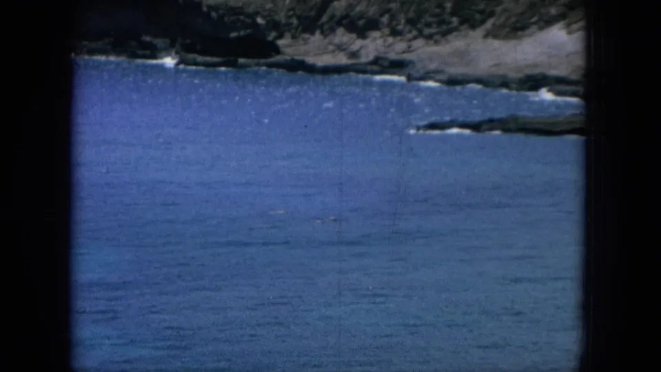 Elevated 1964 Hawaii coastal shot showing open blue water, a rocky shore, and the edge of a dark mountainside in soft 8mm color.