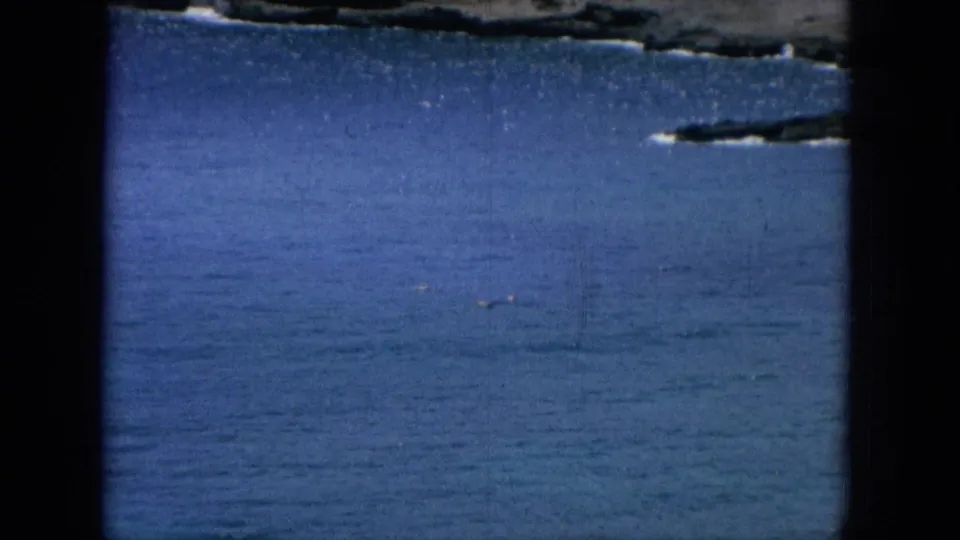 1964 Oahu home-movie frame showing open blue ocean and a dark rocky shoreline edge within visible 8mm gate borders.
