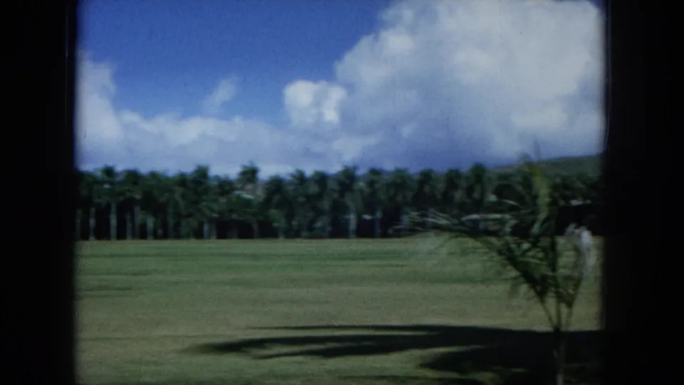 1964 Oahu 8mm view of a broad lawn, dense palm line, distant hillside, and bright clouds through a framed opening.