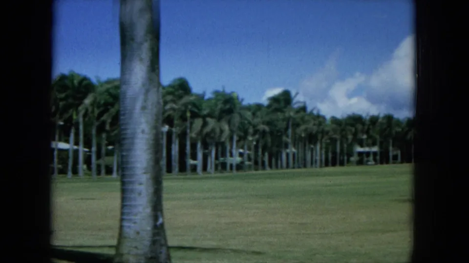1964 Oahu 8mm frame showing a foreground palm trunk, open grass, dense palms, and bright clouds in a tropical landscape.
